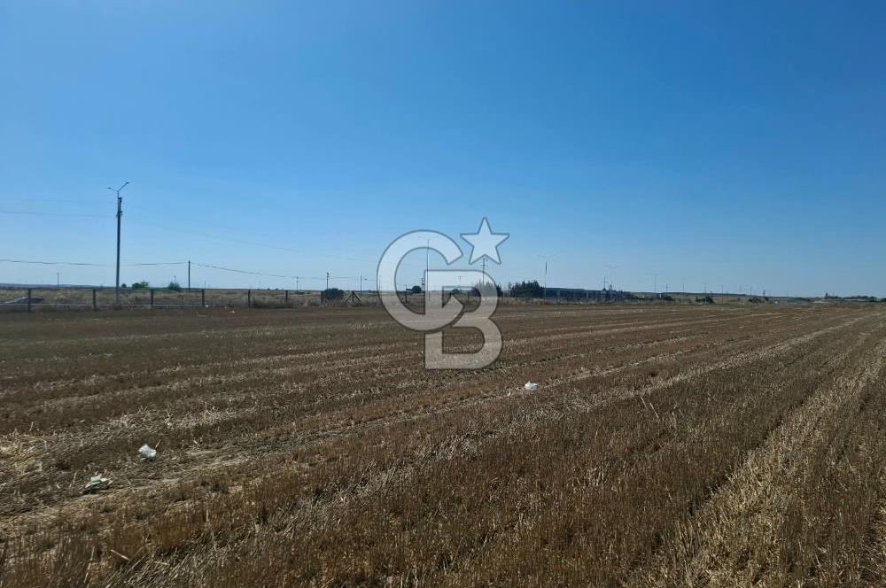 Tekirdağ Çorlu Seymen E-5 Cepheli 7.071 M² Satılık Tarla