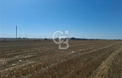 Tekirdağ Çorlu Seymen E-5 Cepheli 7.071 M² Satılık Tarla