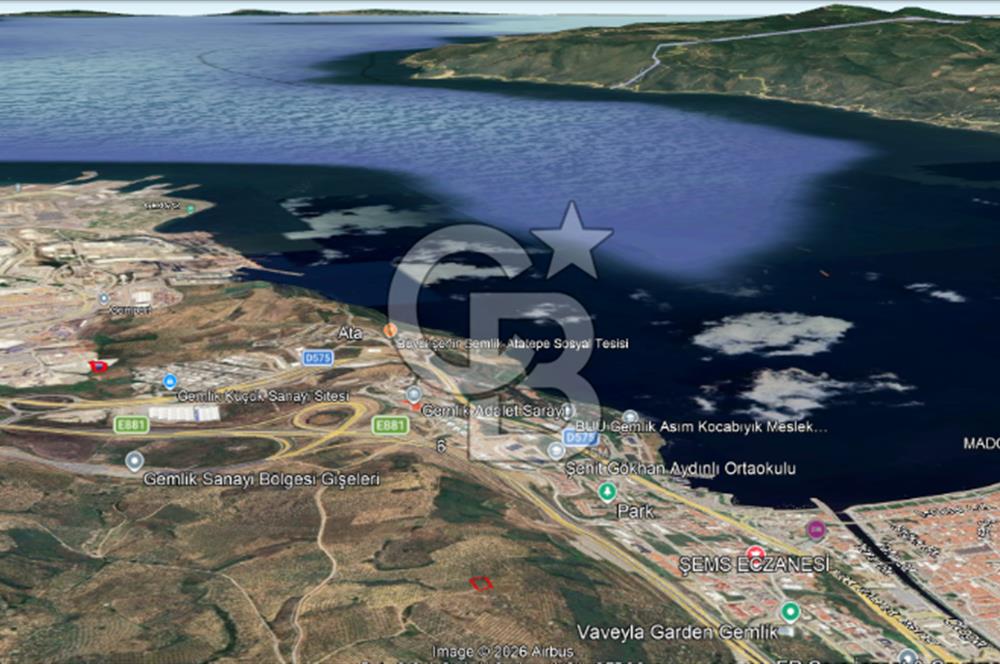 Bursa Gemlik Umurbey'de Deniz manzaralı Zeytinlik