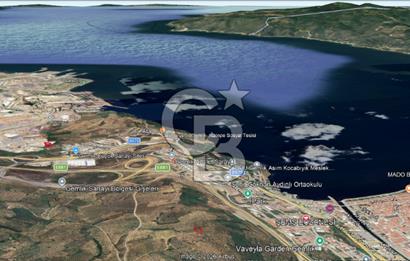Bursa Gemlik Umurbey'de Deniz manzaralı Zeytinlik
