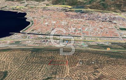 Bursa Gemlik Umurbey'de Deniz manzaralı Zeytinlik