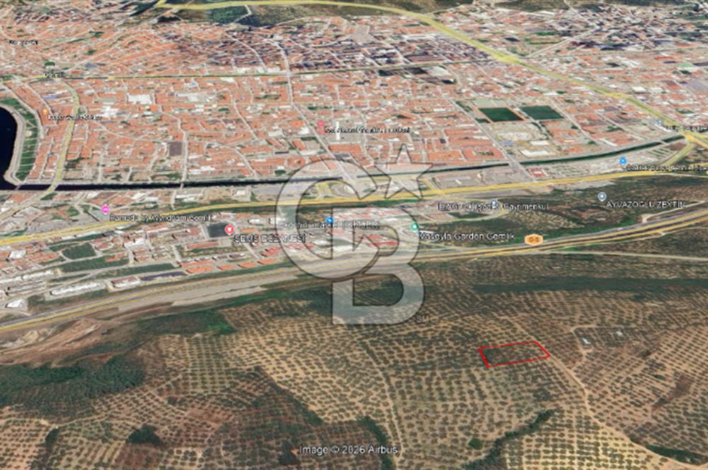 Bursa Gemlik Umurbey'de Deniz manzaralı Zeytinlik