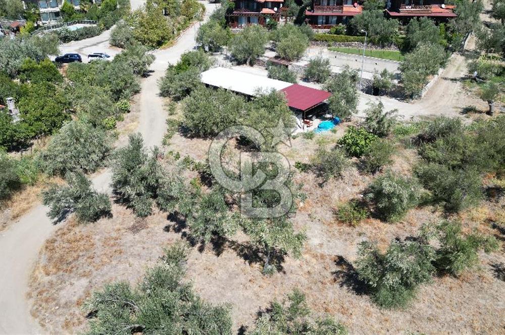 KÜÇÜKKUYU MIHLI 852 M2 KADASTROL YOLA CEPHELİ ARSA