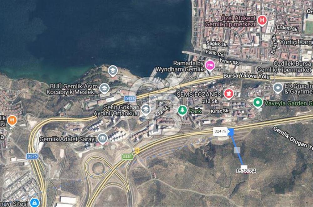 Bursa Gemlik Umurbey'de Deniz manzaralı Zeytinlik