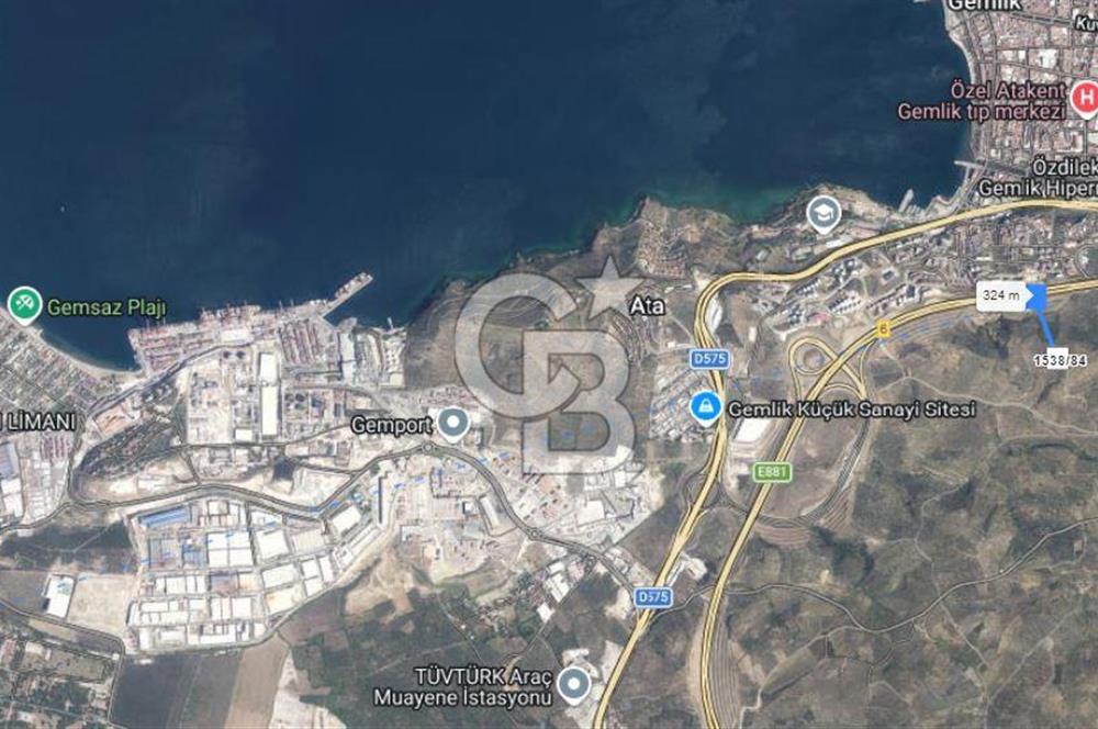 Bursa Gemlik Umurbey'de Deniz manzaralı Zeytinlik