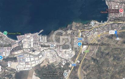 Bursa Gemlik Umurbey'de Deniz manzaralı Zeytinlik