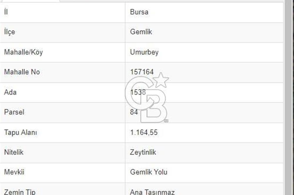 Bursa Gemlik Umurbey'de Deniz manzaralı Zeytinlik
