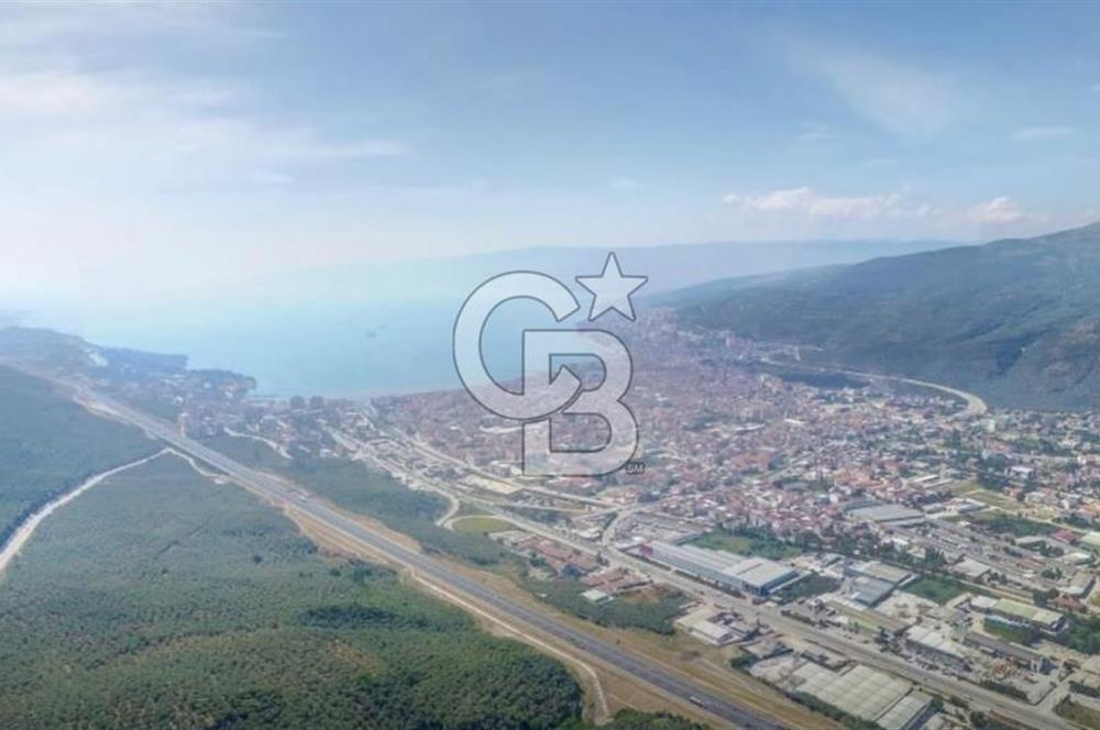 Bursa Gemlik Umurbey'de Deniz manzaralı Zeytinlik