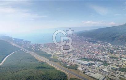 Bursa Gemlik Umurbey'de Deniz manzaralı Zeytinlik