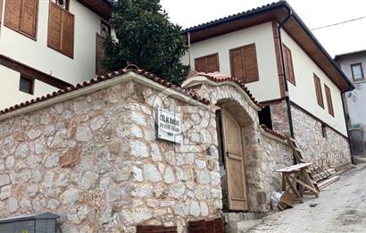 Bursa Gemlik Umurbey'de Deniz manzaralı Zeytinlik