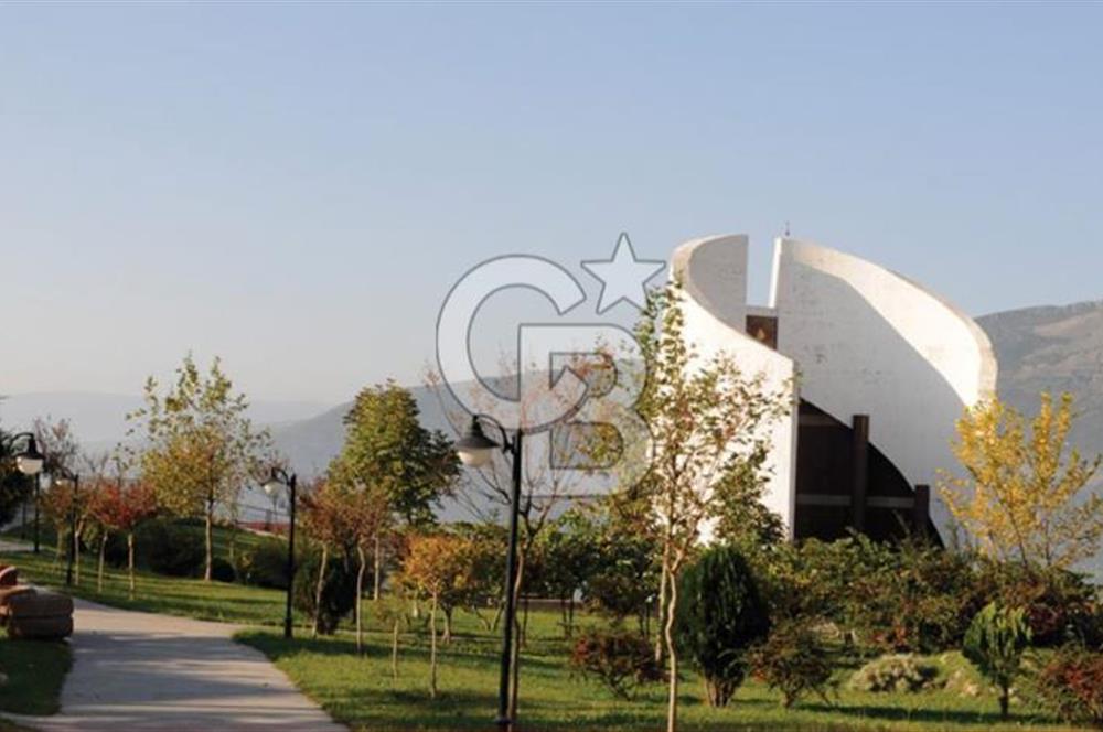 Bursa Gemlik Umurbey'de Deniz manzaralı Zeytinlik