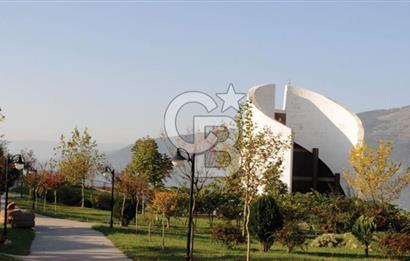 Bursa Gemlik Umurbey'de Deniz manzaralı Zeytinlik