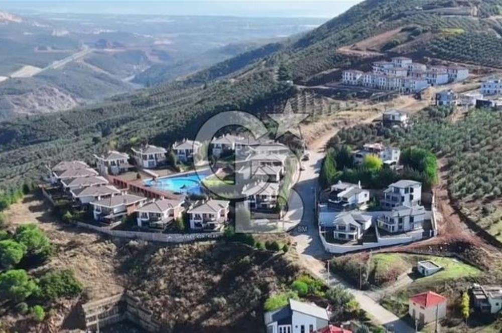Bursa Gemlik Umurbey'de Deniz manzaralı Zeytinlik