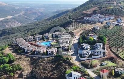 Bursa Gemlik Umurbey'de Deniz manzaralı Zeytinlik