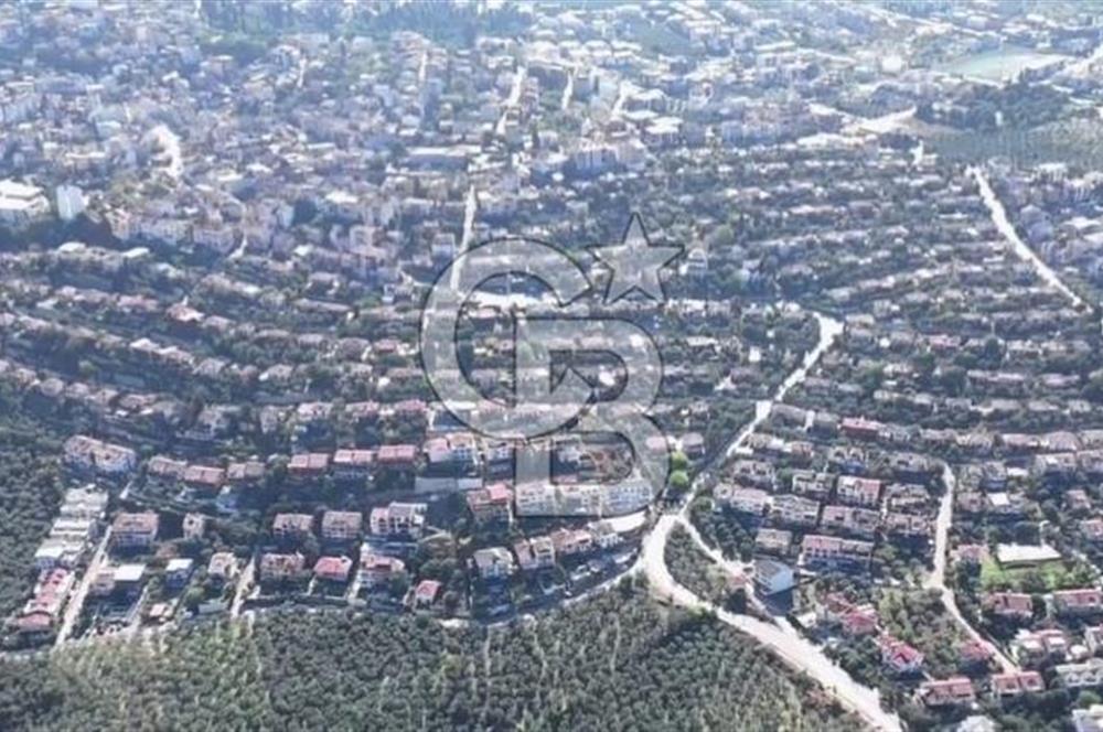 Bursa Gemlik Umurbey'de Deniz manzaralı Zeytinlik