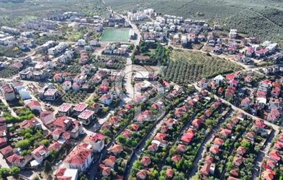 Bursa Gemlik Umurbey'de Deniz manzaralı Zeytinlik