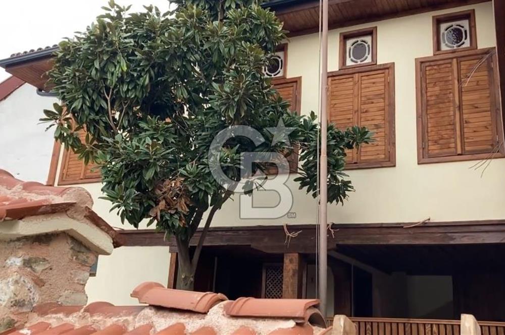 Bursa Gemlik Umurbey'de Deniz manzaralı Zeytinlik