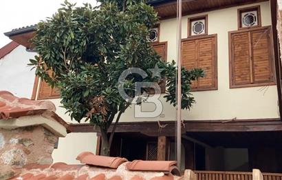 Bursa Gemlik Umurbey'de Deniz manzaralı Zeytinlik
