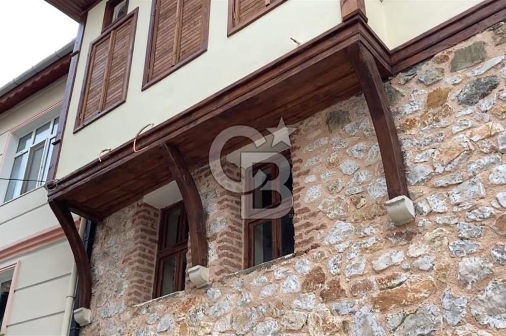 Bursa Gemlik Umurbey'de Deniz manzaralı Zeytinlik