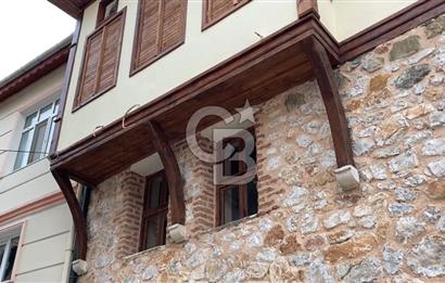 Bursa Gemlik Umurbey'de Deniz manzaralı Zeytinlik