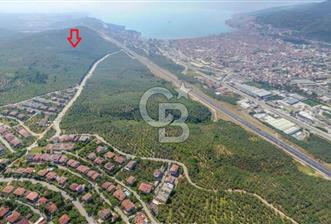 Bursa Gemlik Umurbey'de Deniz manzaralı Zeytinlik - 1 - 373128
