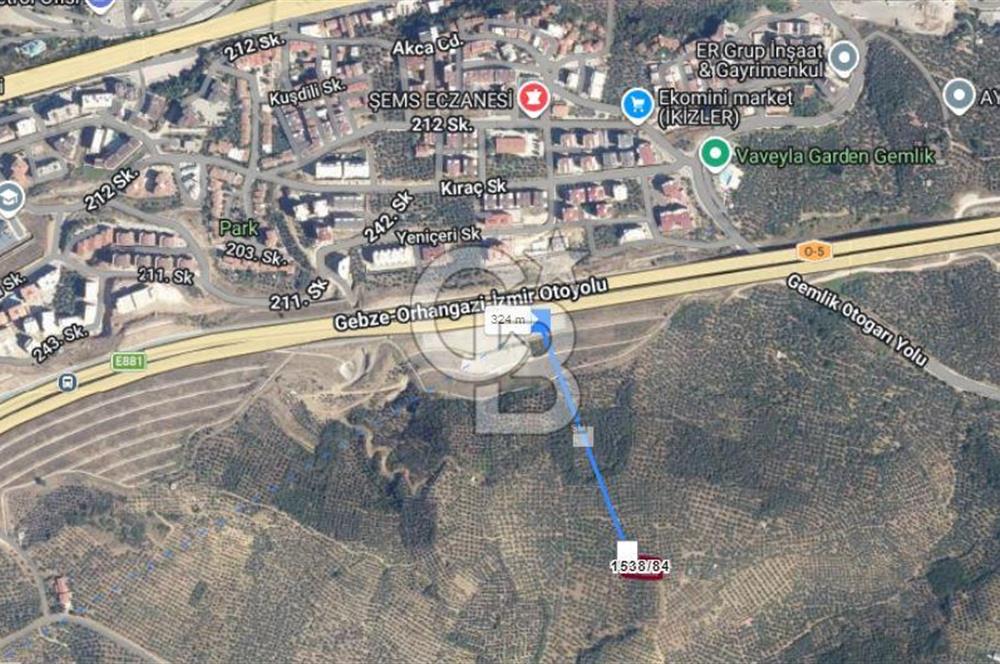 Bursa Gemlik Umurbey'de Deniz manzaralı Zeytinlik