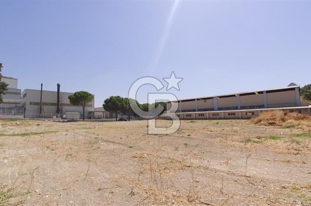 İZBAŞ İzmir Serbest Bölgede Satılık 2.696 m² Arsa
