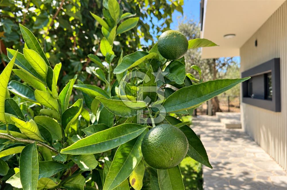 KÜÇÜKKUYU MIHLIDA DENİZE 200 METRE 206 M² 4+1 MÜSTAKİL VİLLA