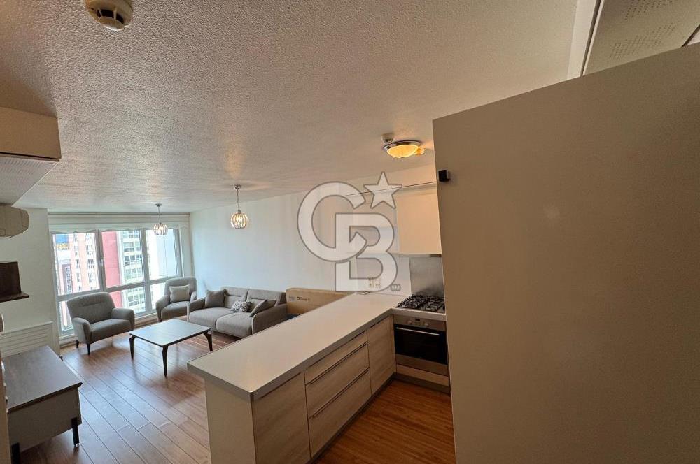 andromeda 1+1 kiralık daire