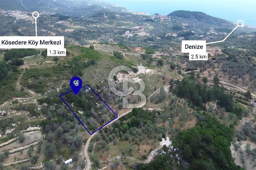 Karaburun Eğlenhoca'da Yola Cephe Göl Manzaralı Zeytinlik