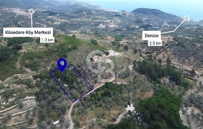 Karaburun Eğlenhoca'da Yola Cephe Göl Manzaralı Zeytinlik