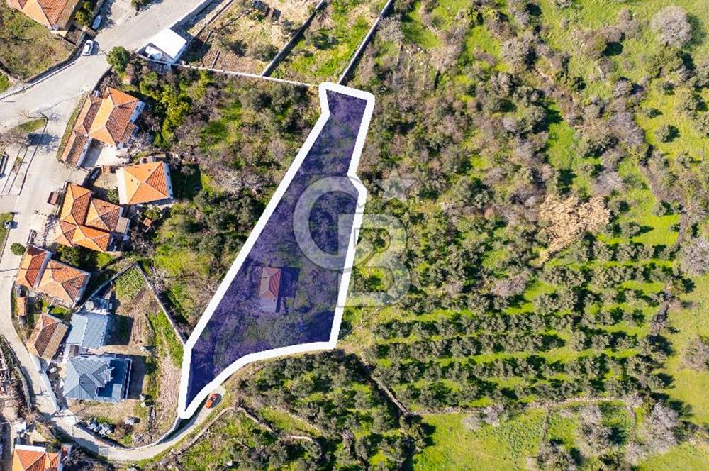 Aliağa Çıtak Köyünde Satılık Kargir Ev Ve Zeytin Bahçesi