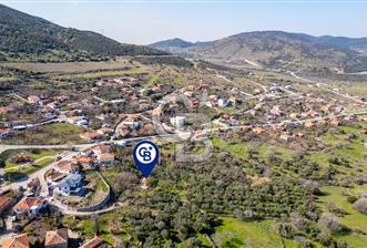 Aliağa Çıtak Köyünde Satılık Kargir Ev Ve Zeytin Bahçesi - 1 - 373223
