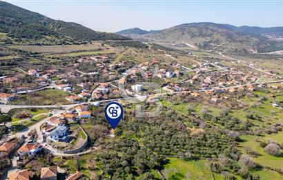 Aliağa Çıtak Köyünde Satılık Kargir Ev Ve Zeytin Bahçesi