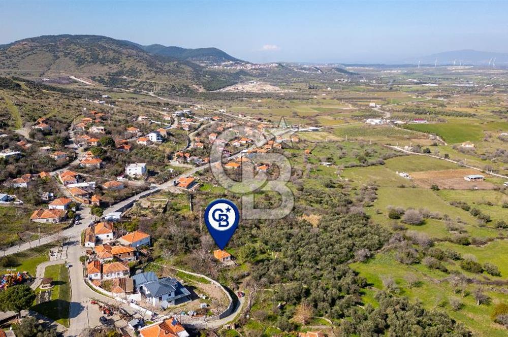 Aliağa Çıtak Köyünde Satılık Kargir Ev Ve Zeytin Bahçesi