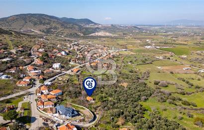 Aliağa Çıtak Köyünde Satılık Kargir Ev Ve Zeytin Bahçesi