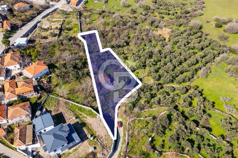 Aliağa Çıtak Köyünde Satılık Kargir Ev Ve Zeytin Bahçesi