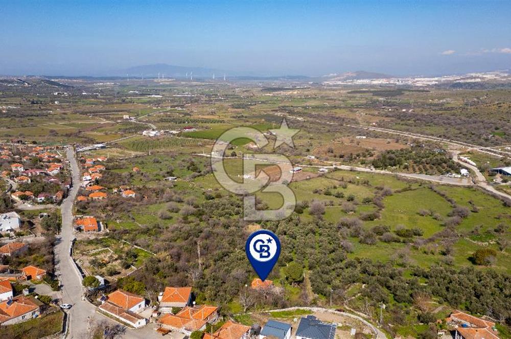 Aliağa Çıtak Köyünde Satılık Kargir Ev Ve Zeytin Bahçesi