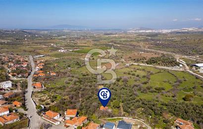 Aliağa Çıtak Köyünde Satılık Kargir Ev Ve Zeytin Bahçesi
