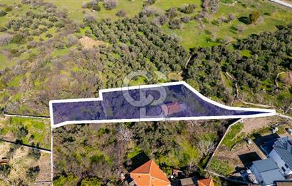 Aliağa Çıtak Köyünde Satılık Kargir Ev Ve Zeytin Bahçesi