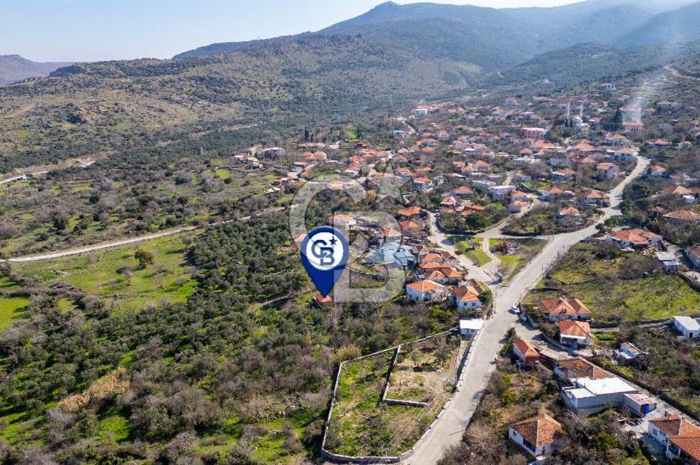 Aliağa Çıtak Köyünde Satılık Kargir Ev Ve Zeytin Bahçesi
