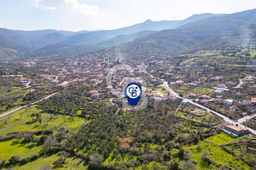 Aliağa Çıtak Köyünde Satılık Kargir Ev Ve Zeytin Bahçesi