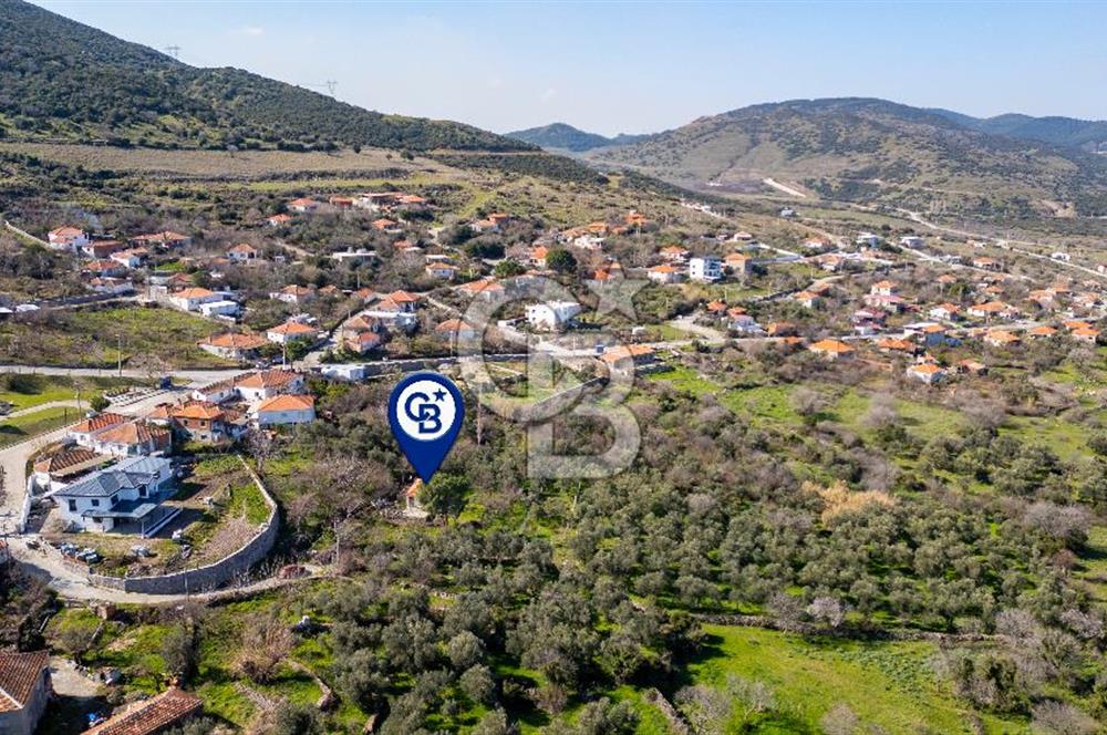 Aliağa Çıtak Köyünde Satılık Kargir Ev Ve Zeytin Bahçesi