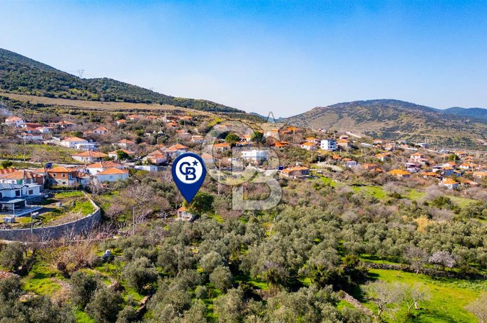 Aliağa Çıtak Köyünde Satılık Kargir Ev Ve Zeytin Bahçesi