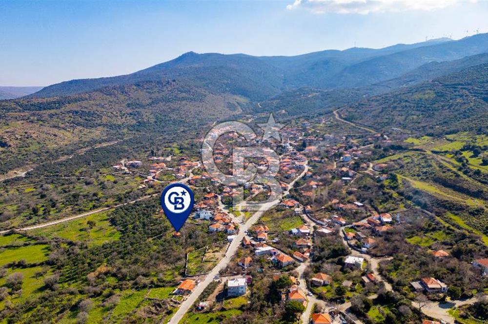 Aliağa Çıtak Köyünde Satılık Kargir Ev Ve Zeytin Bahçesi