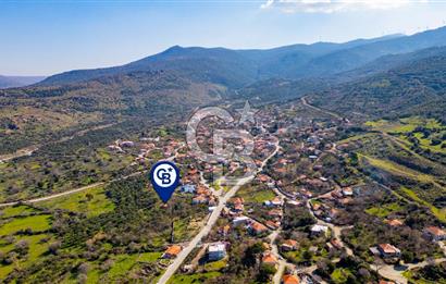 Aliağa Çıtak Köyünde Satılık Kargir Ev Ve Zeytin Bahçesi