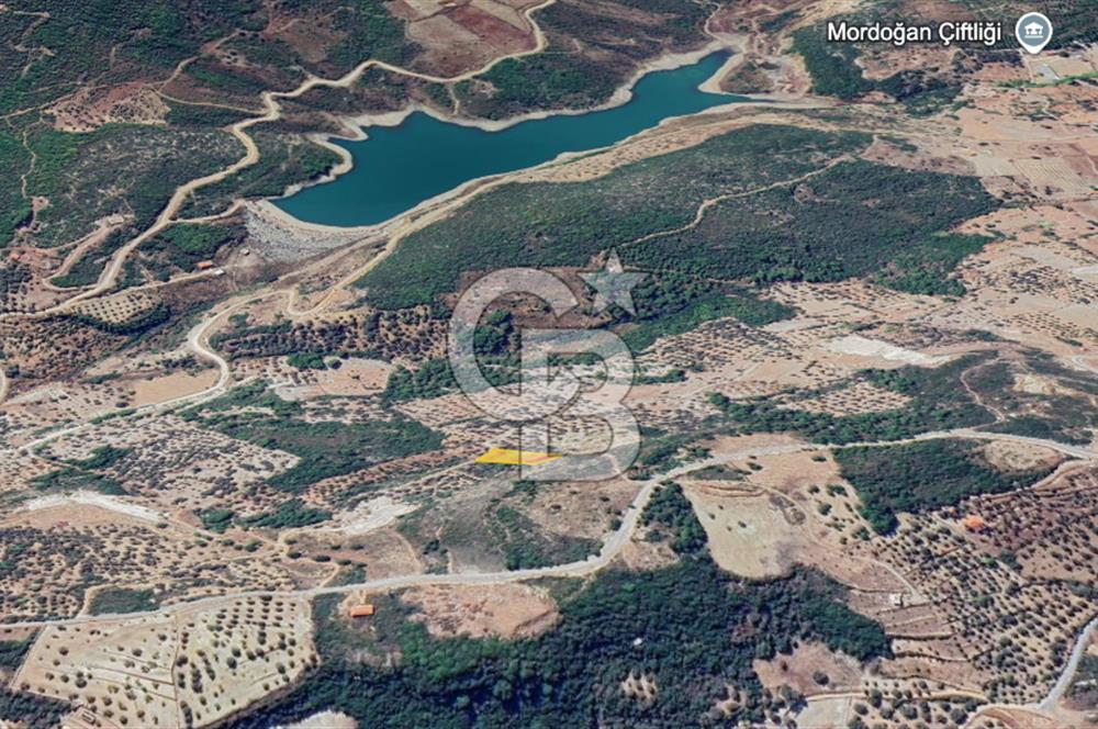 Karaburun Eğlenhoca'da Yola Cephe Göl Manzaralı Zeytinlik