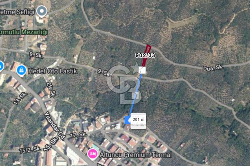 CB CLASS SATILIK KADASTRO YOLU MEVCUT ZEYTİNLİK YALOVA ARMUTLU