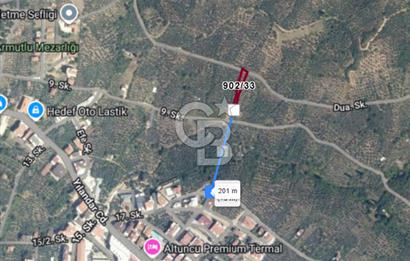 CB CLASS SATILIK KADASTRO YOLU MEVCUT ZEYTİNLİK YALOVA ARMUTLU