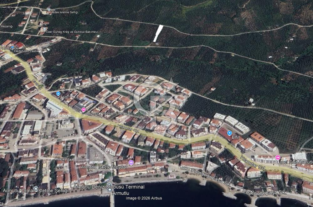CB CLASS SATILIK KADASTRO YOLU MEVCUT ZEYTİNLİK YALOVA ARMUTLU